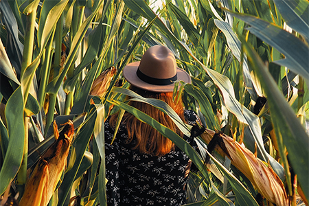 Woman standing in corn field in fall